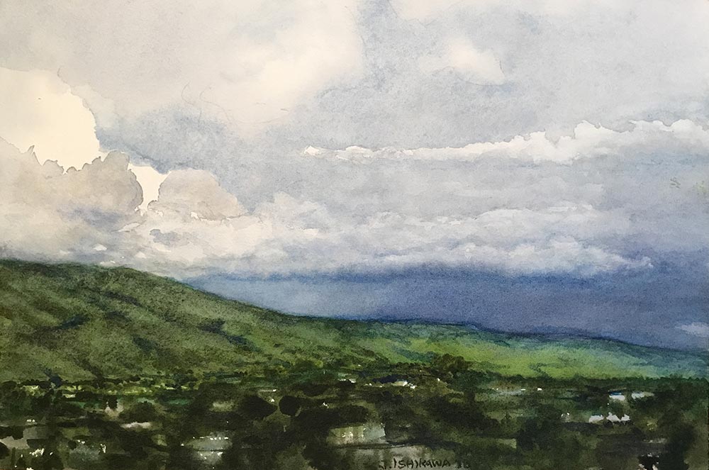 Distant Storm