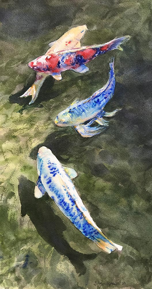 Coy Koi