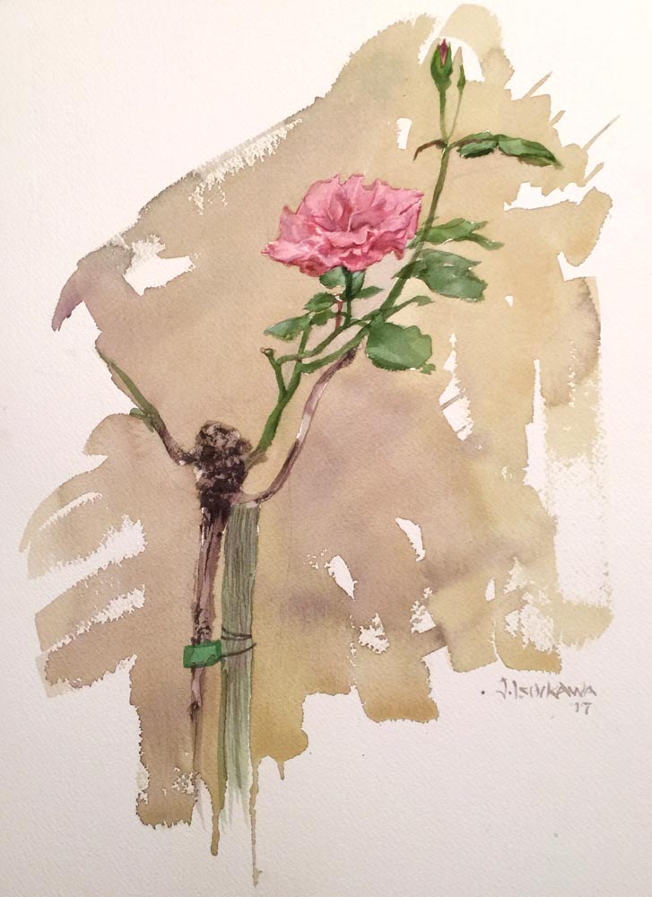 Rose (sketch)