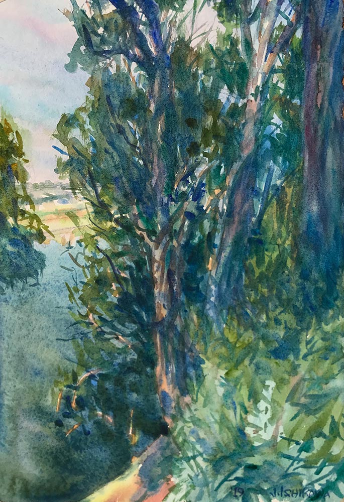 Santa Cruz Eucalyptus