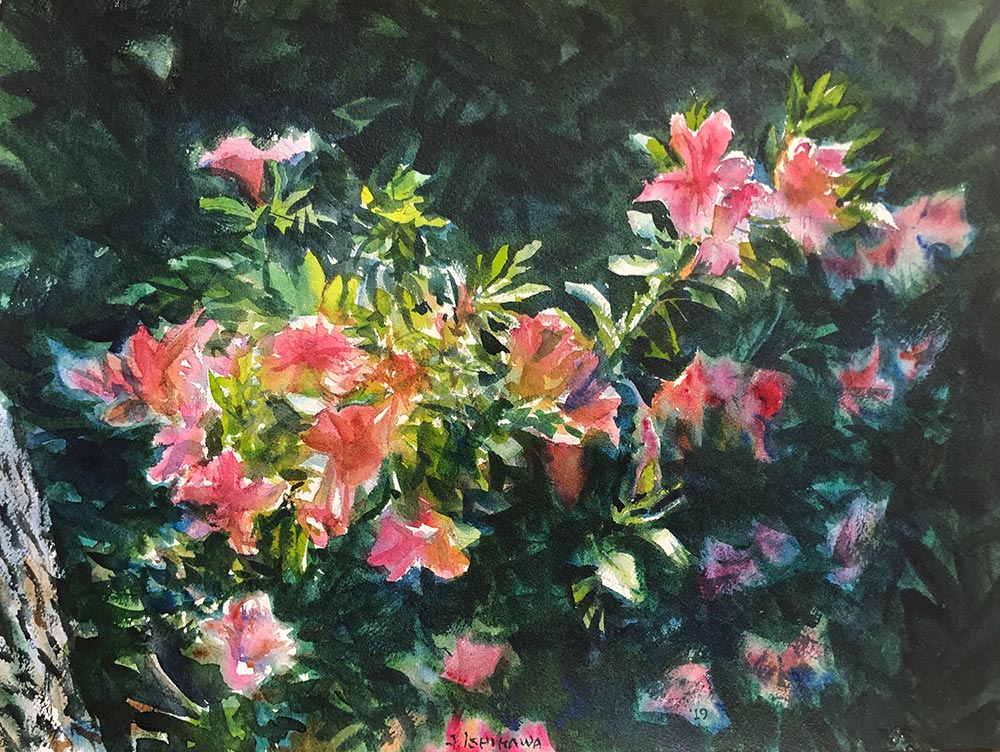 Morning Azalea