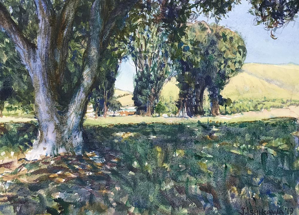 Ohlone Trees