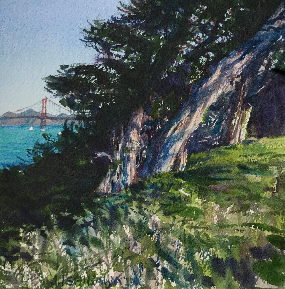 Lands End Cypress