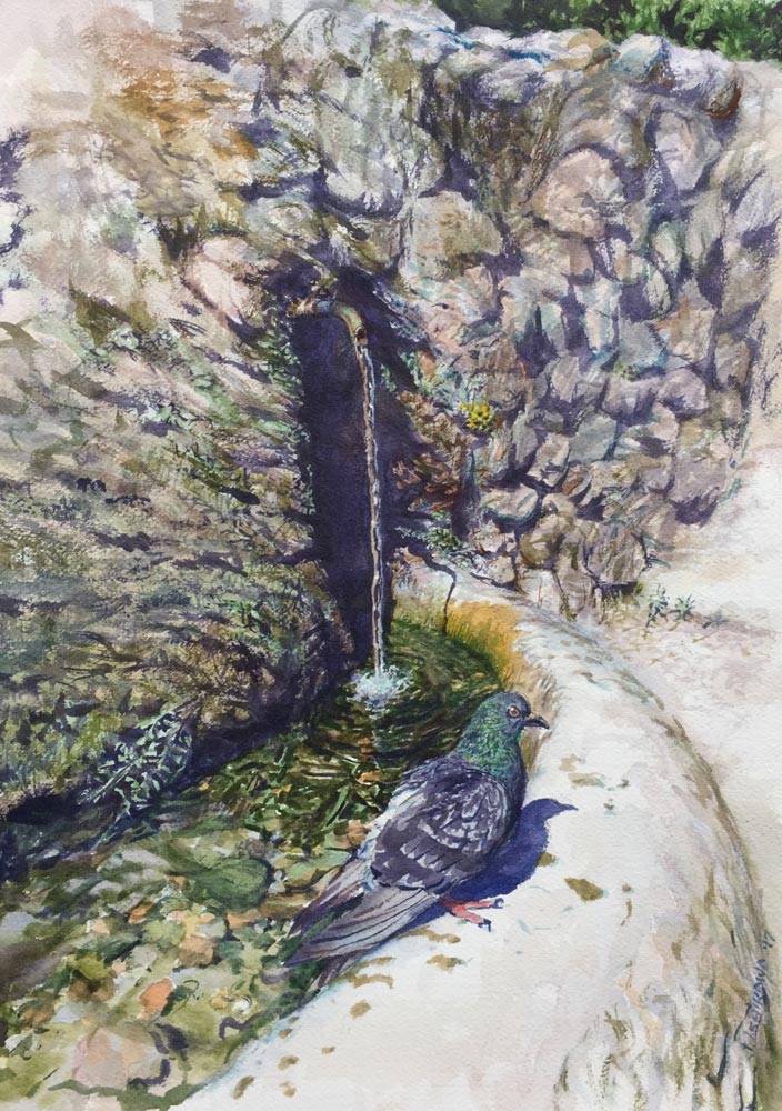 Roman Fountain & Pigeon