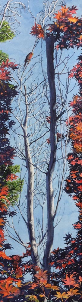 Finch and Trees