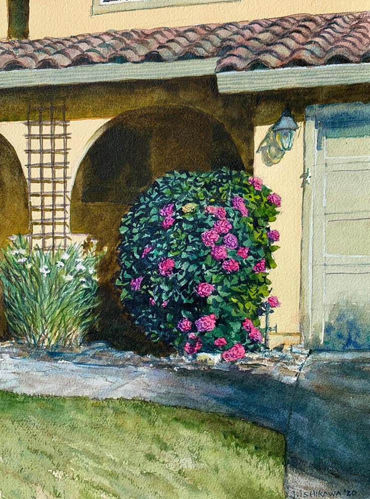 Pink Hydrangea