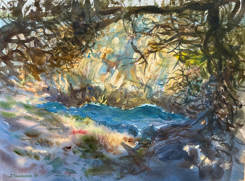 Through the Cypress