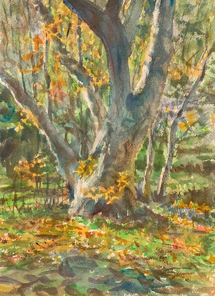 Happy Trees