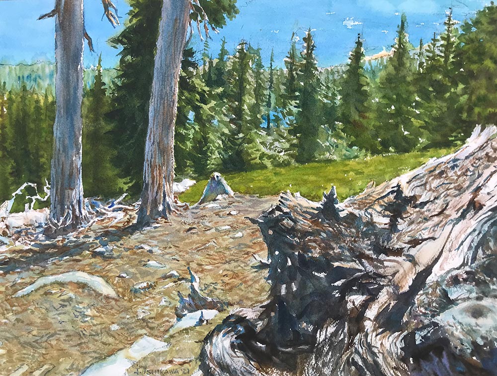 Above Tahoe