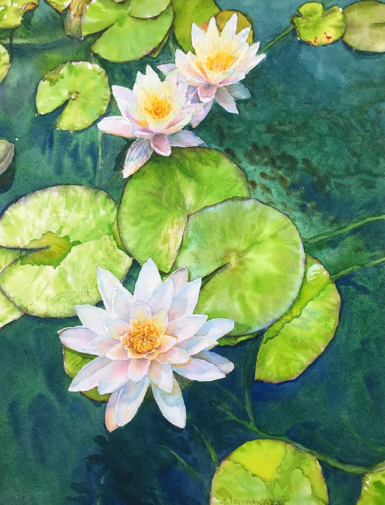 Water Lilies
