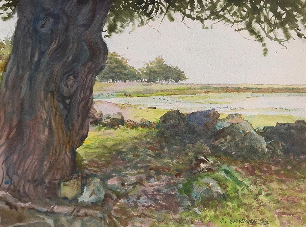 Low Tide at Crab Cove