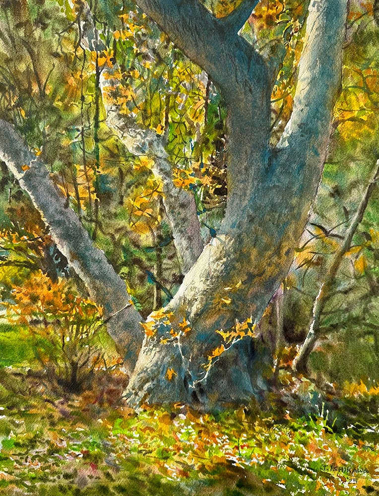 Autumn's Splendor