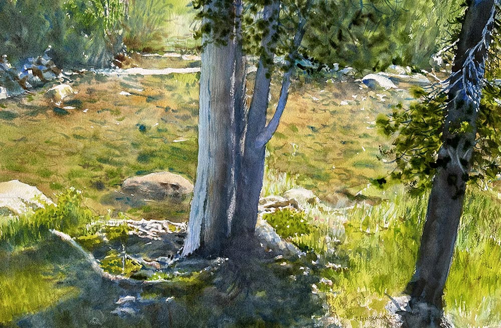 Beside the Shallows