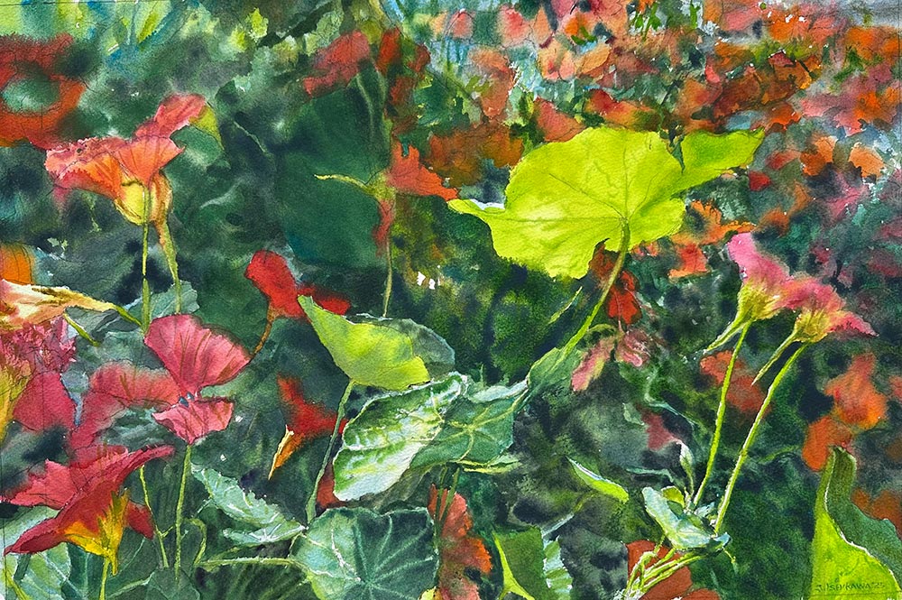 Nasturtium