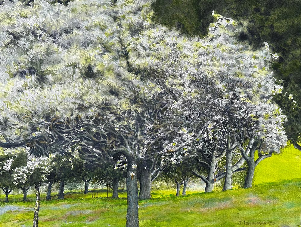 White Blossoms