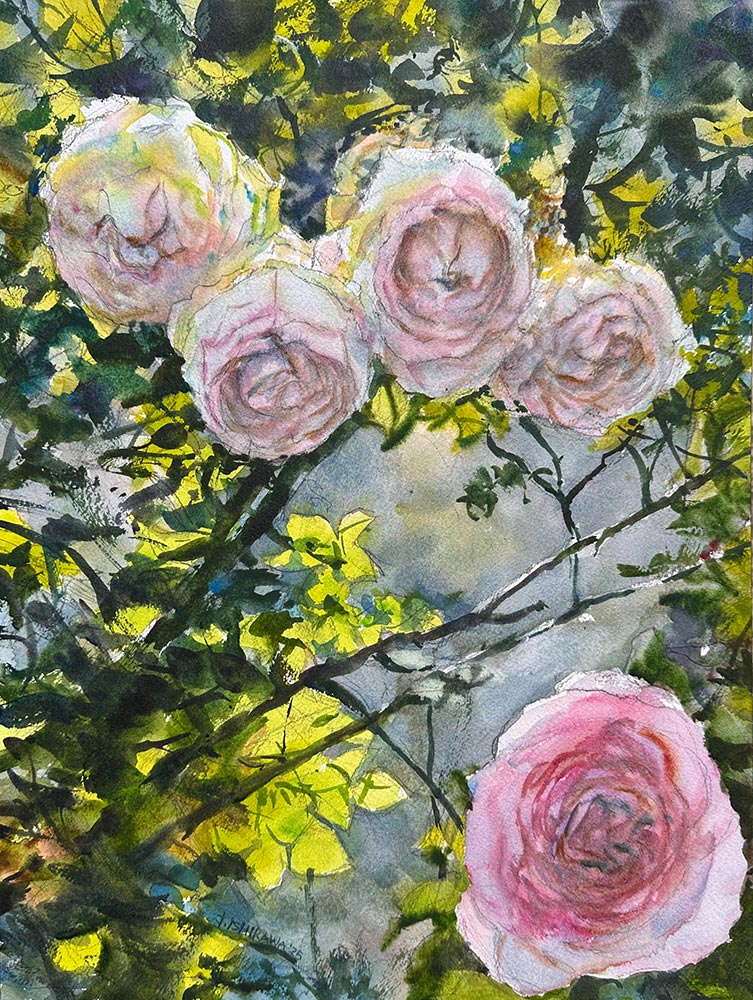 Fleurs Roses