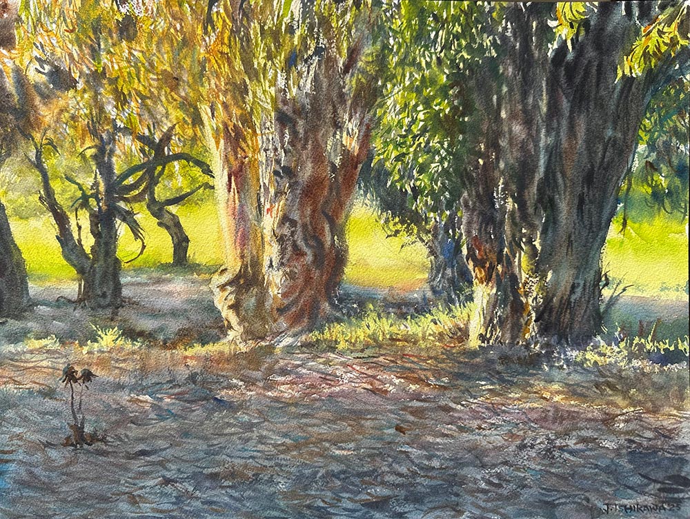 The Rhythm of Trees
