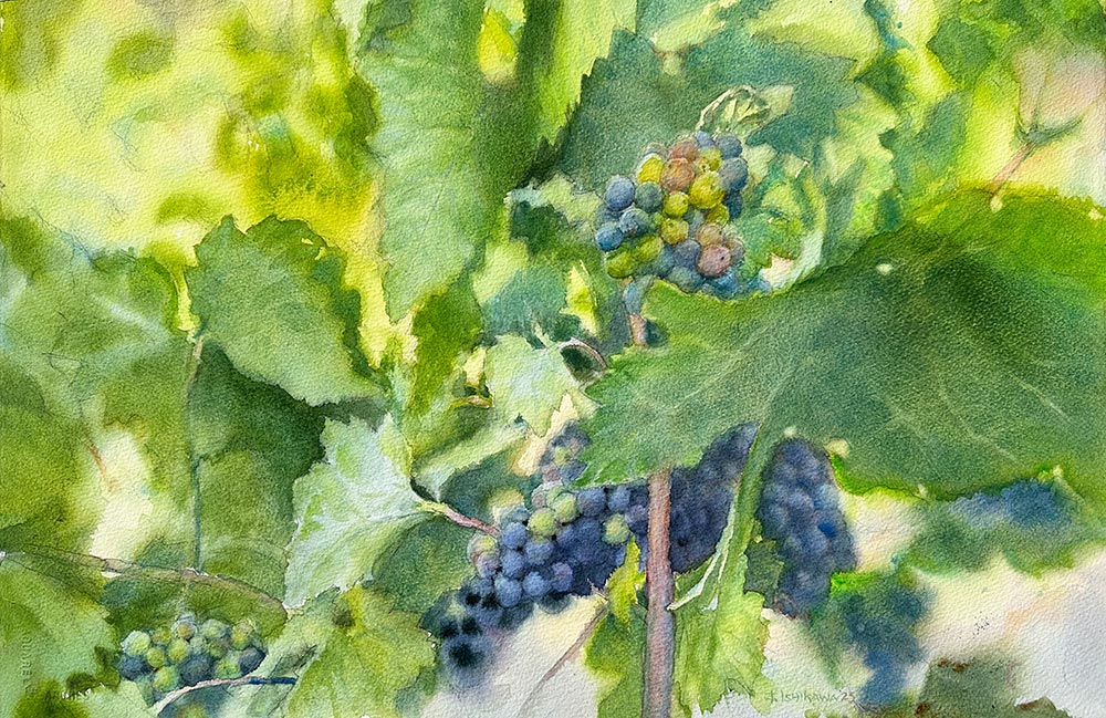 On the Vine