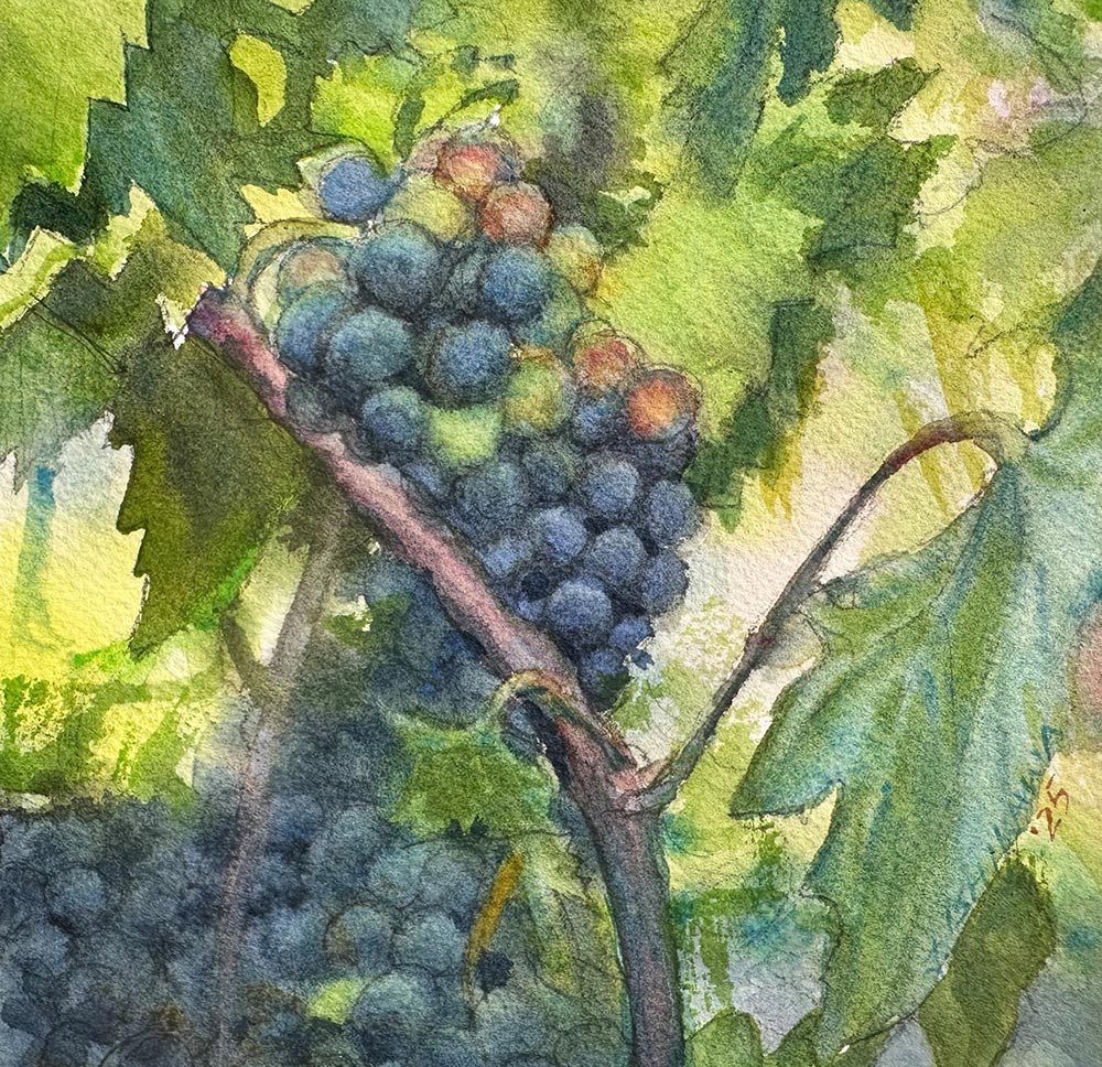 50 Shades of Grape
