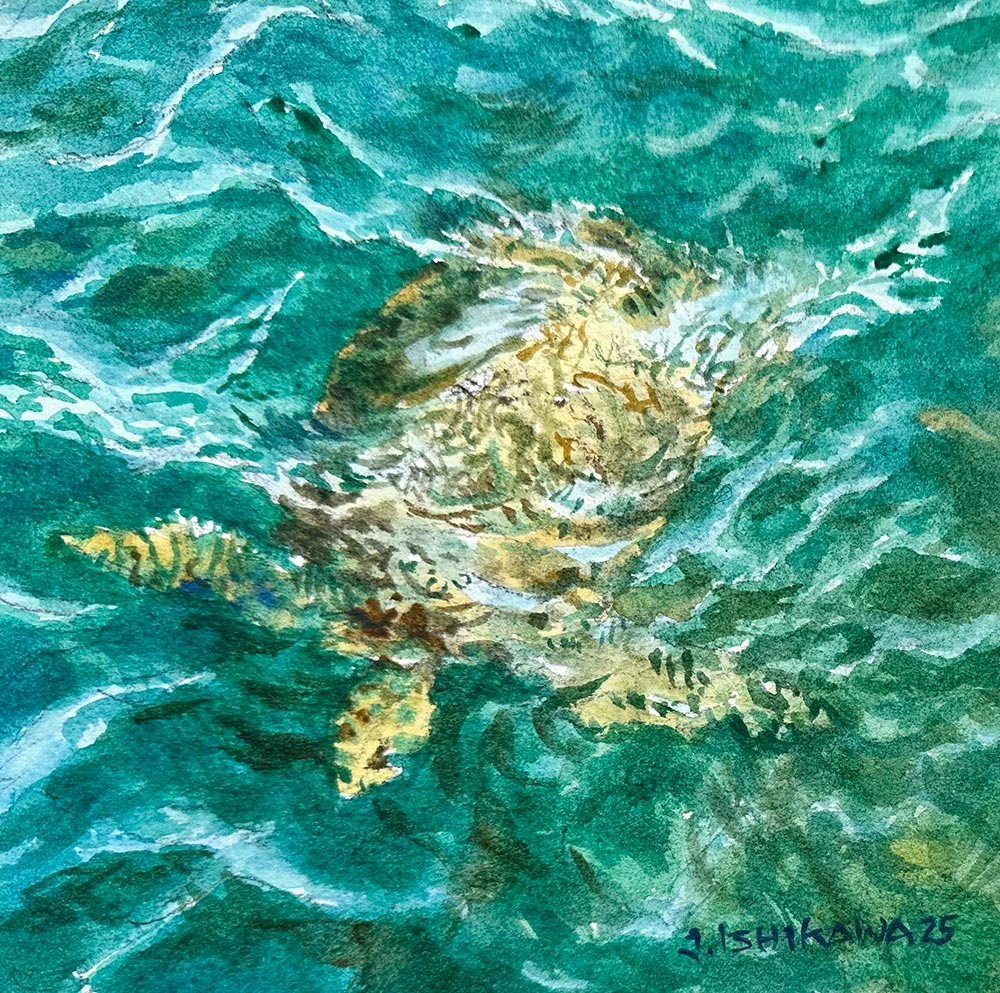 Honu