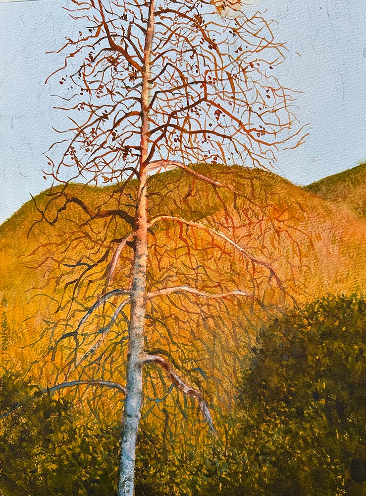 Sunset Tree Sketch