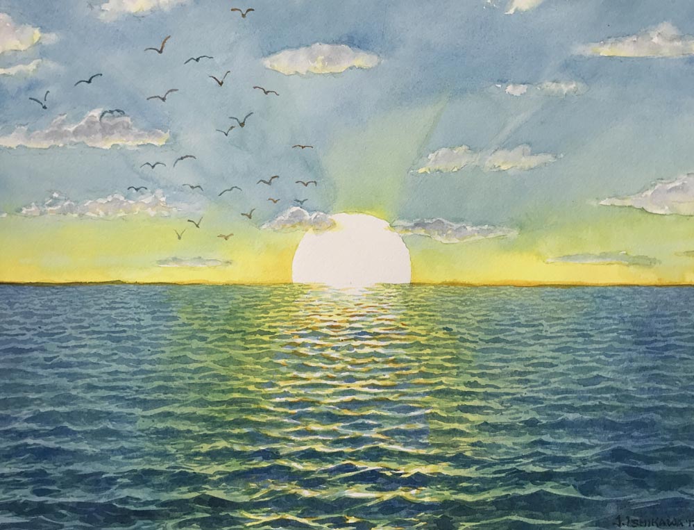 Seagull Sunrise