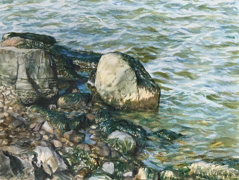 Tidal Rhythms