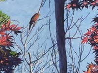 Finch and Trees
