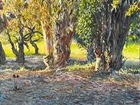 The Rhythm of Trees