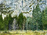 Yosemite Valley