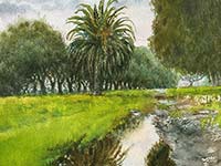 Winter Reflections (Ohlone)